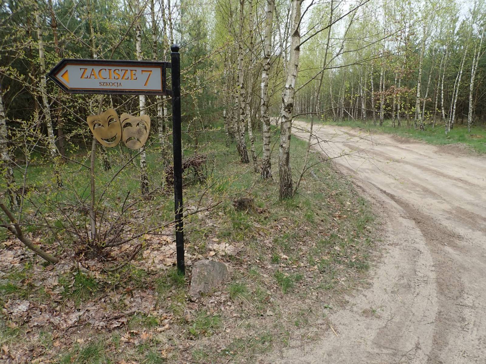 Zdjęcie 5