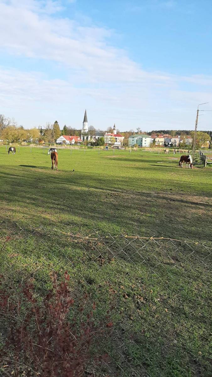 Zdjęcie 6