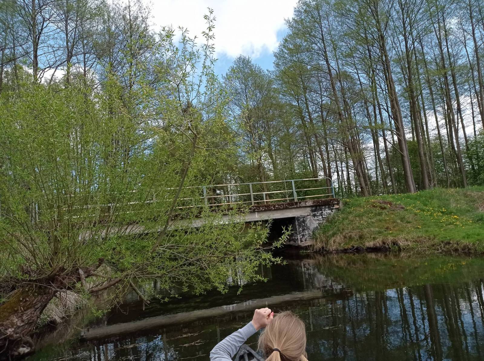 Zdjęcie 2