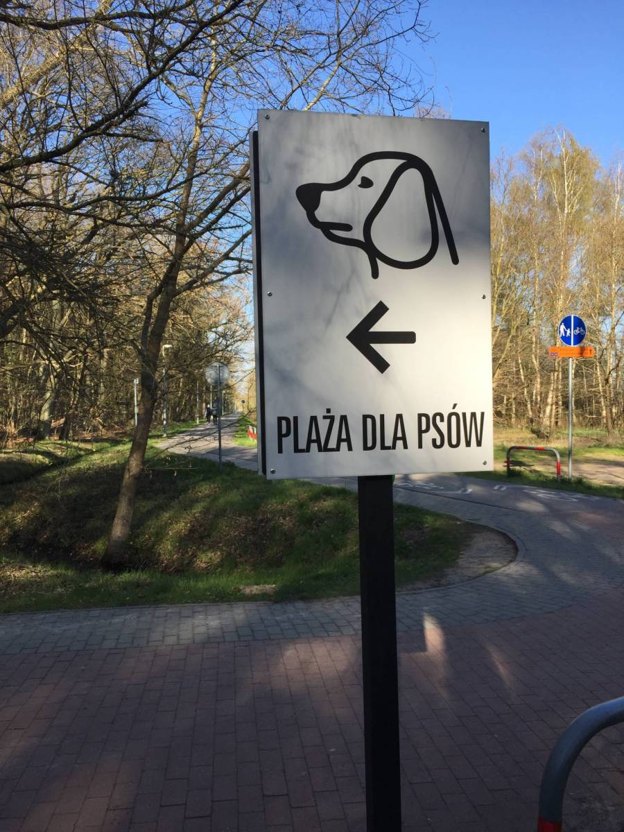 Zdjęcie 6