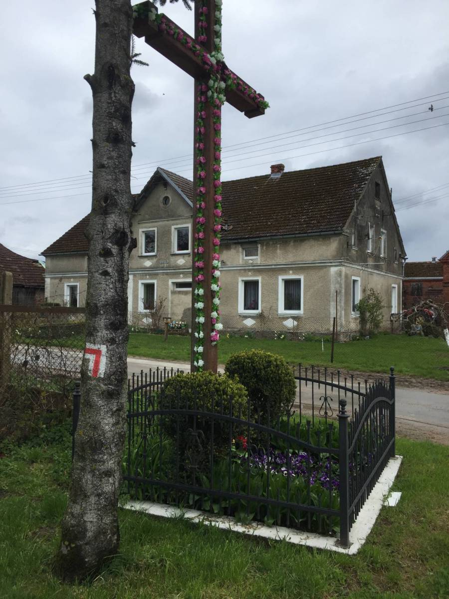 Zdjęcie 5