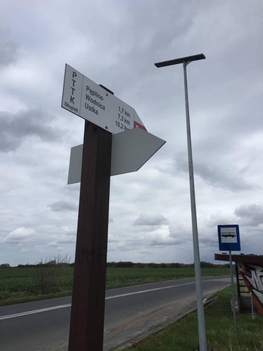 Zdjęcie 6