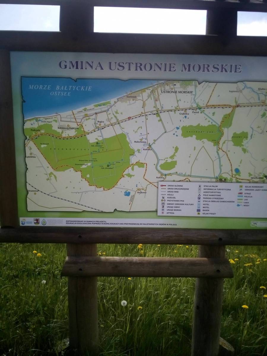 Zdjęcie 3