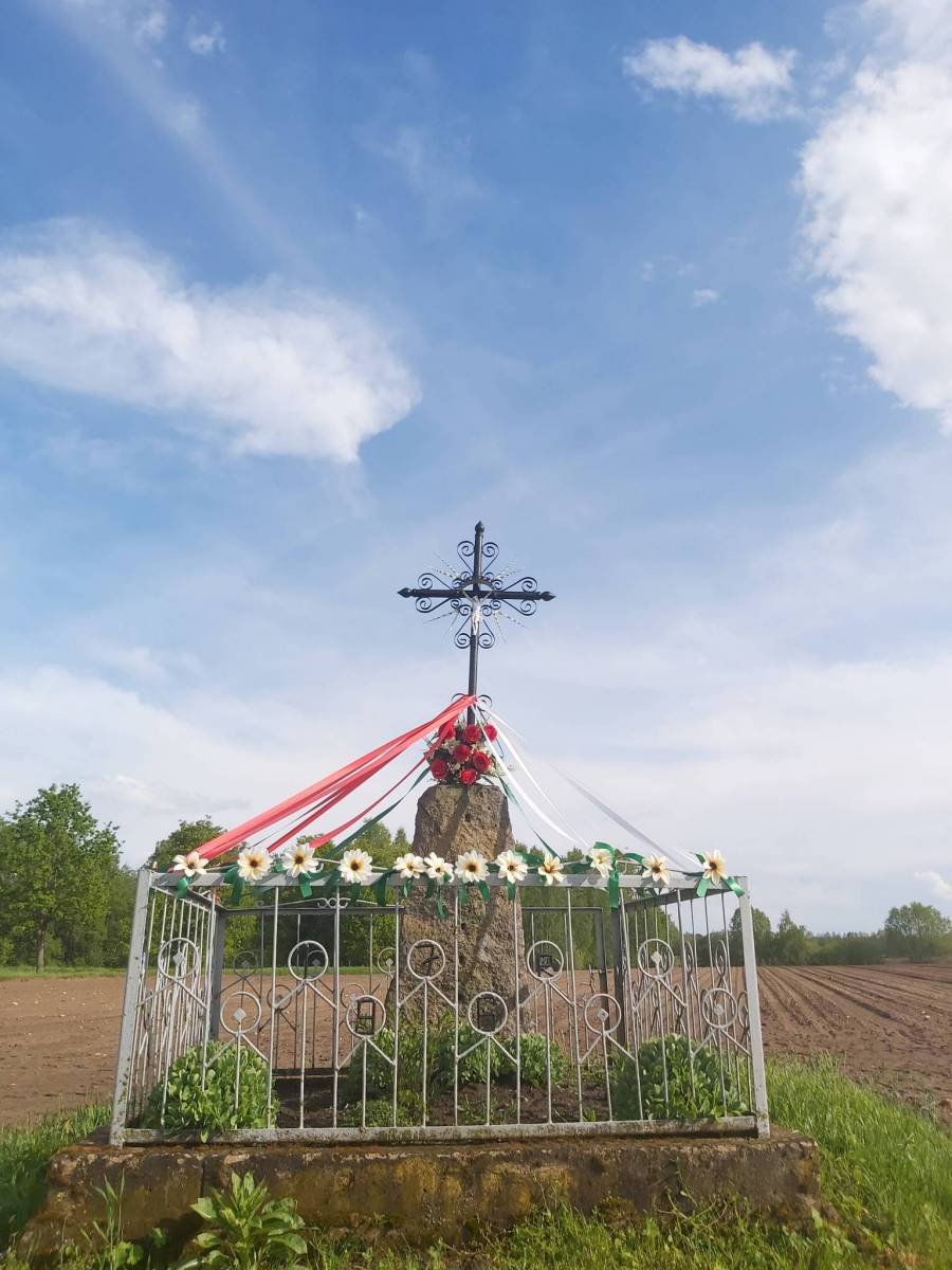 Zdjęcie 3
