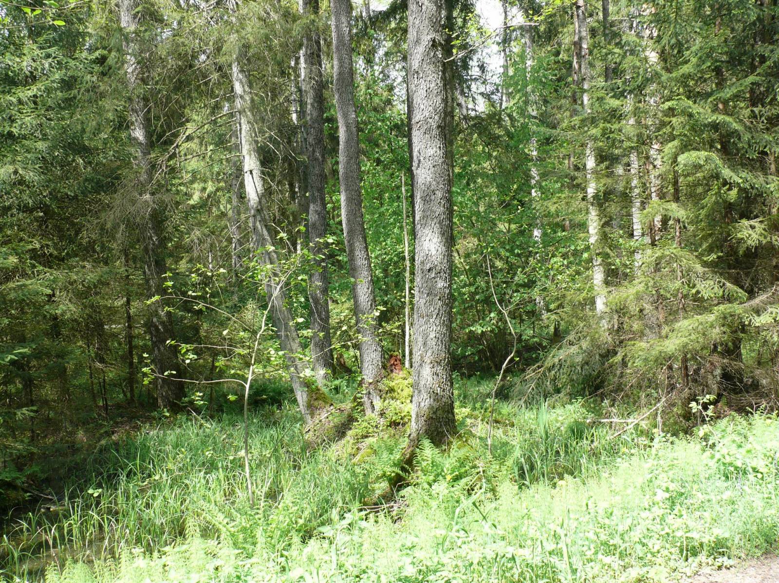 Zdjęcie 5