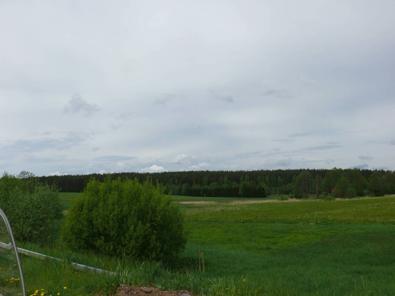 Zdjęcie 6