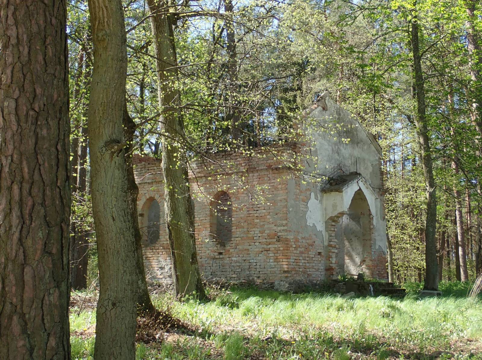 Zdjęcie 3