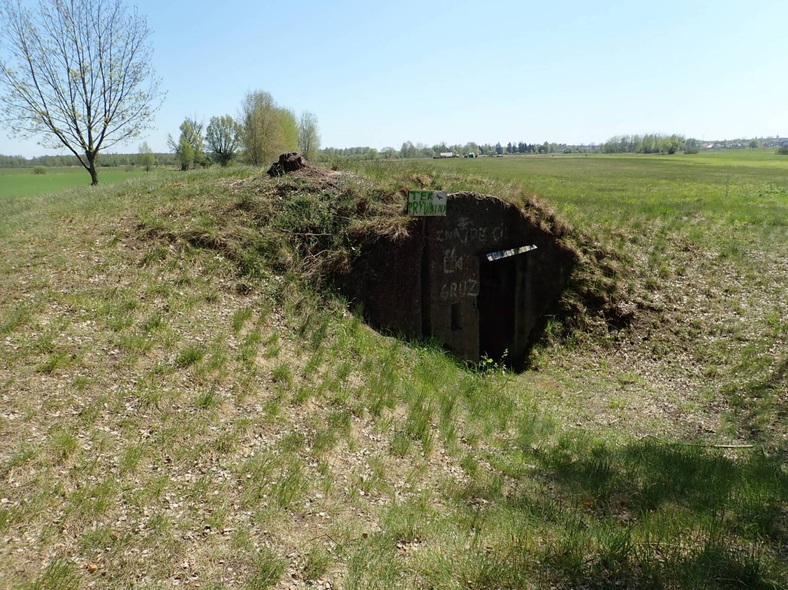 Zdjęcie 5
