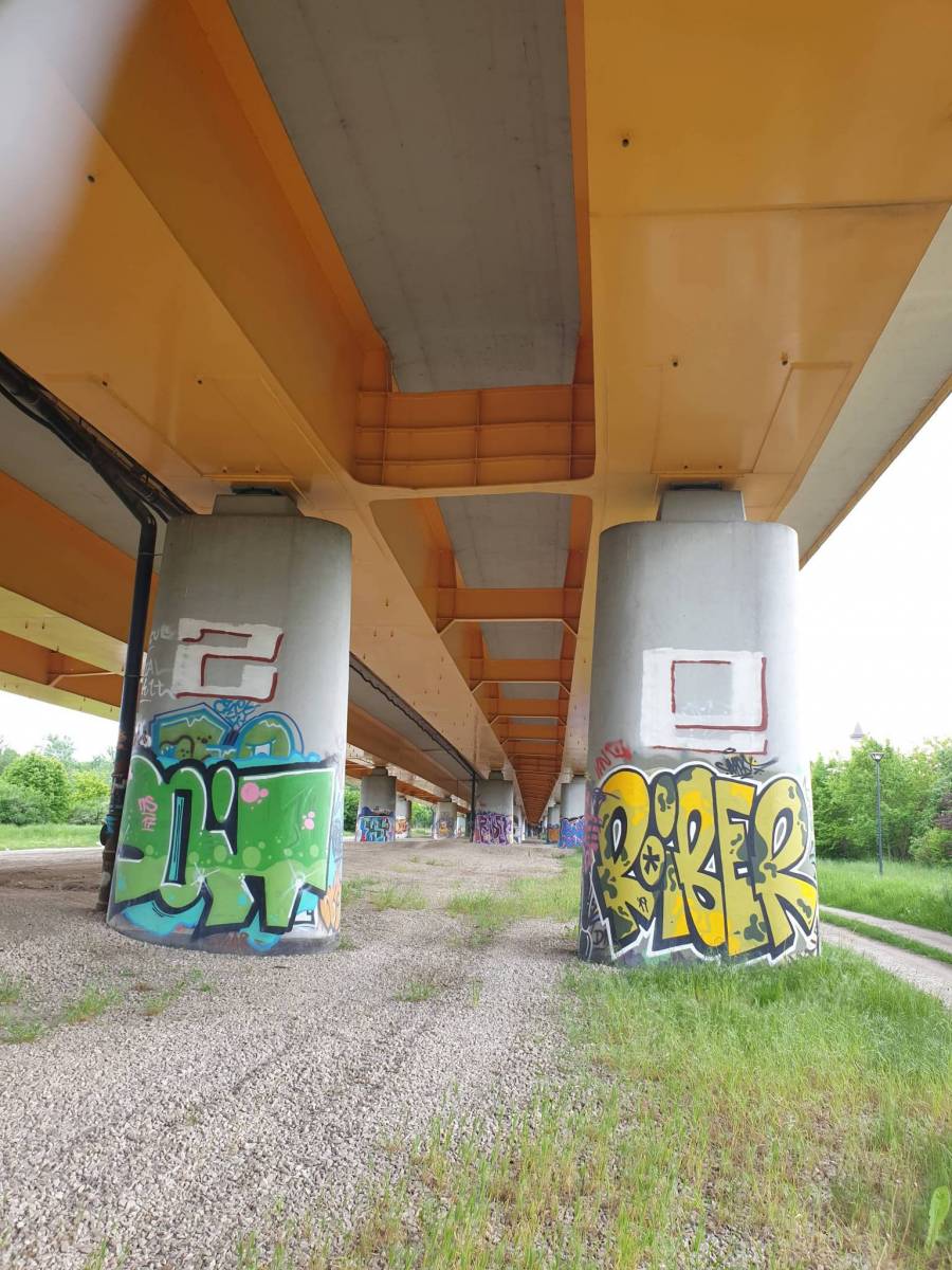 Zdjęcie 6
