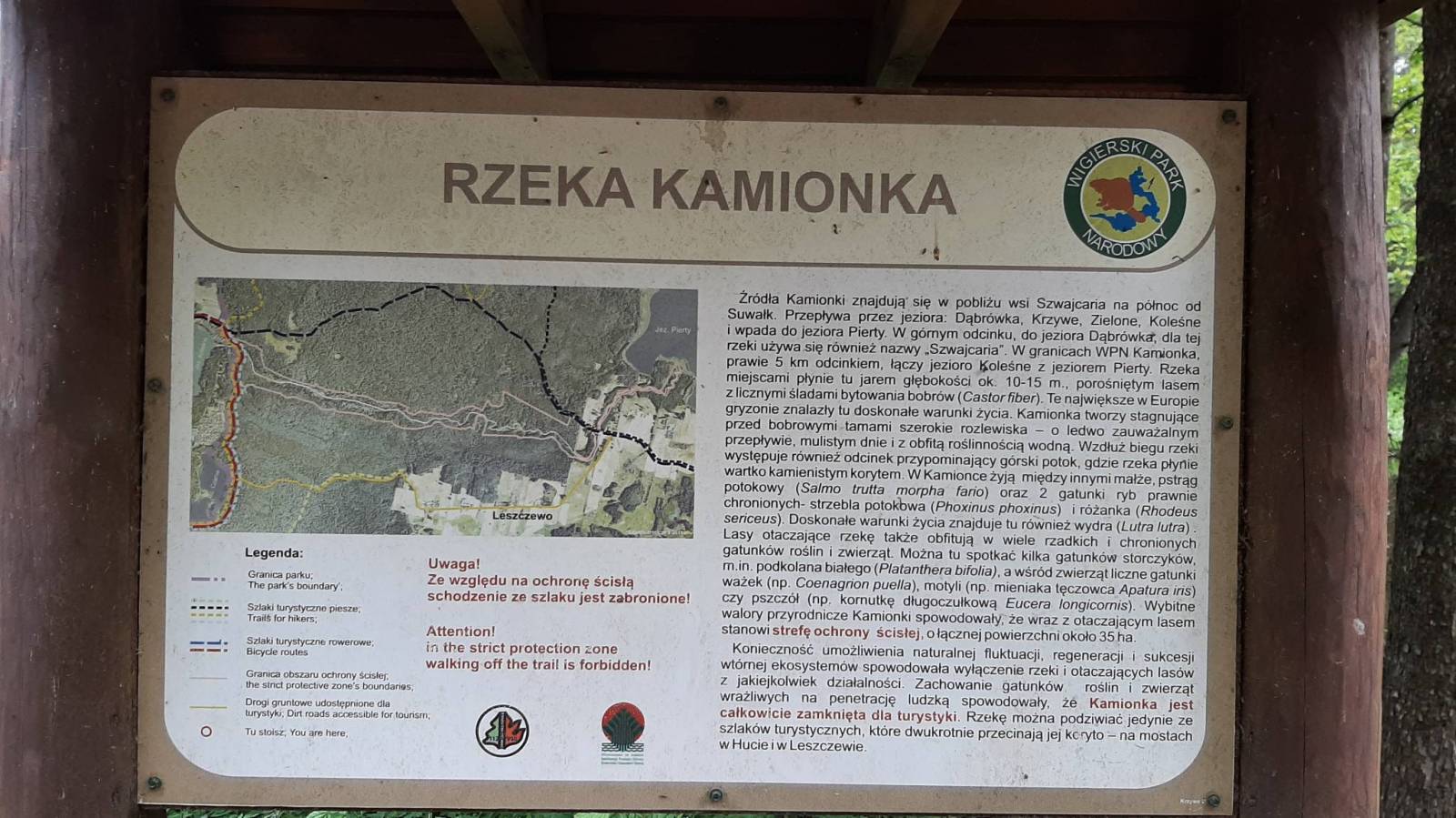 Zdjęcie 2