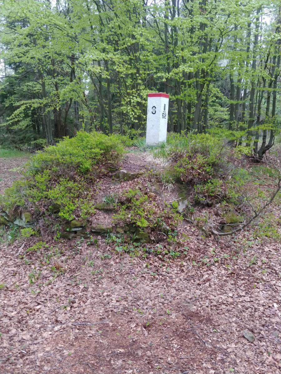 Zdjęcie 3