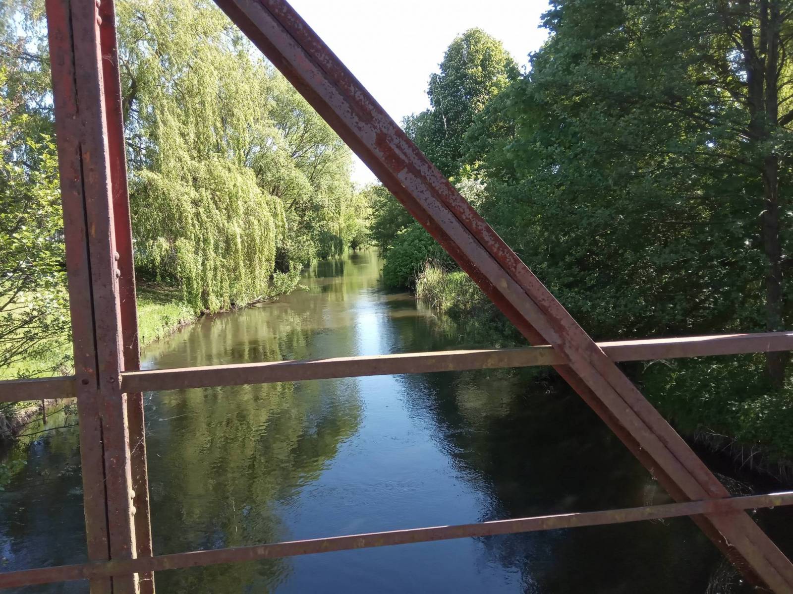 Zdjęcie 6