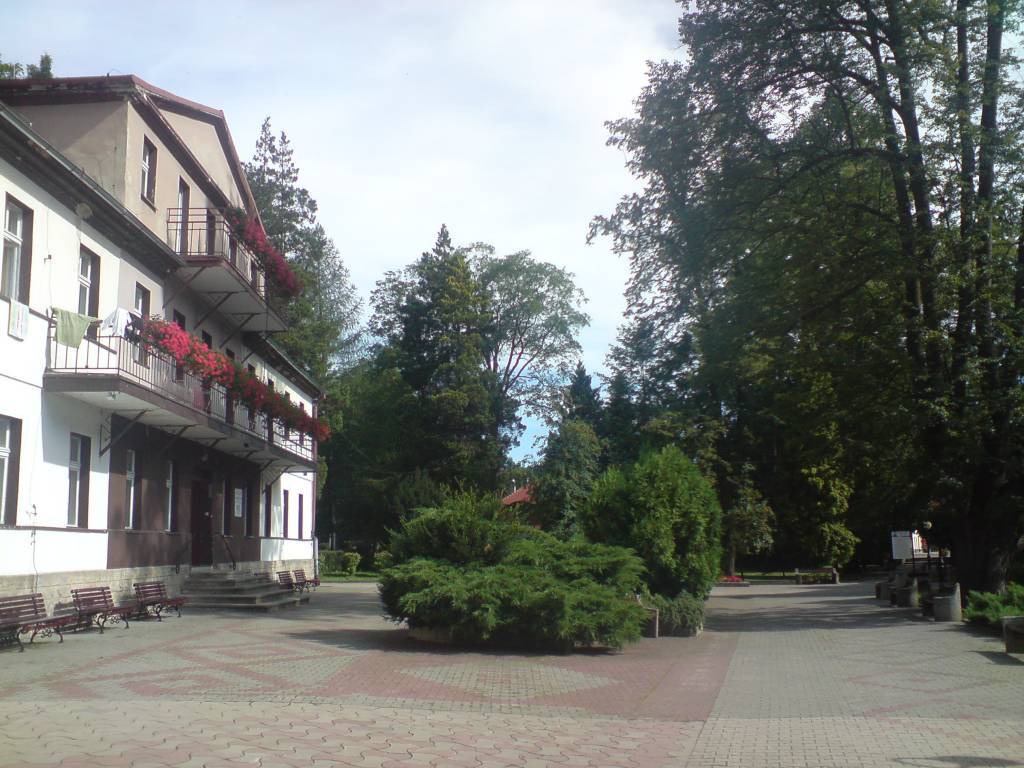 Zdjęcie 2