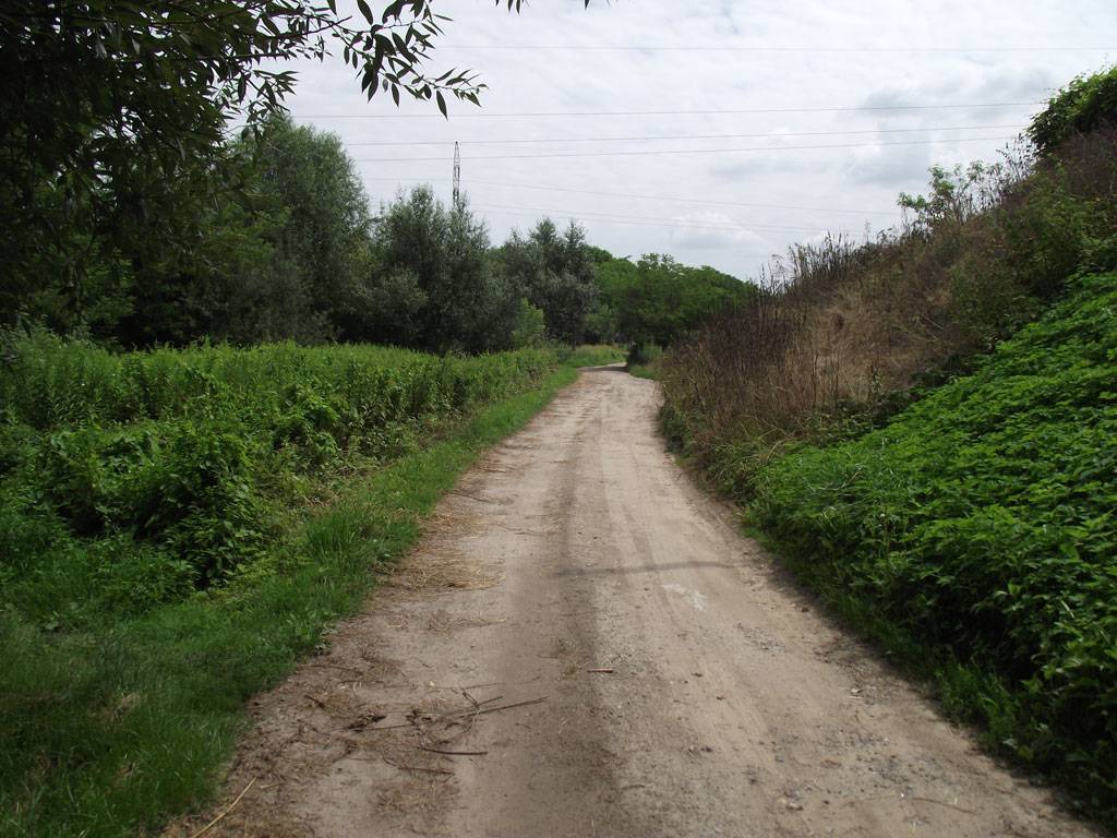 Zdjęcie 5