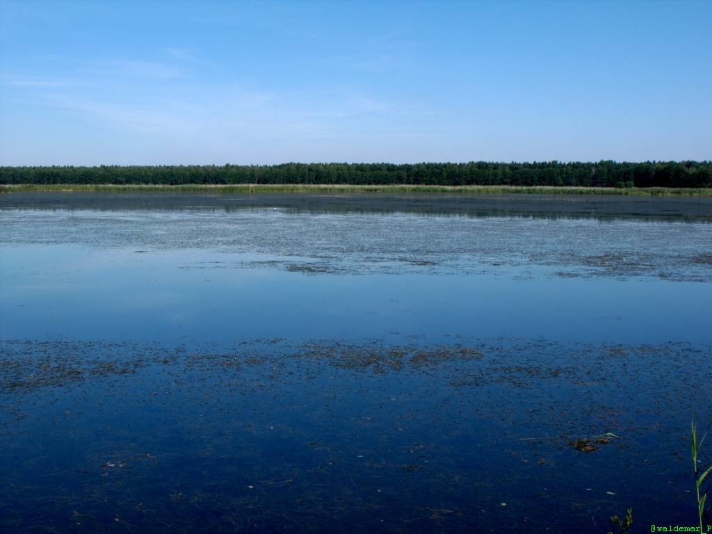 Zdjęcie 6