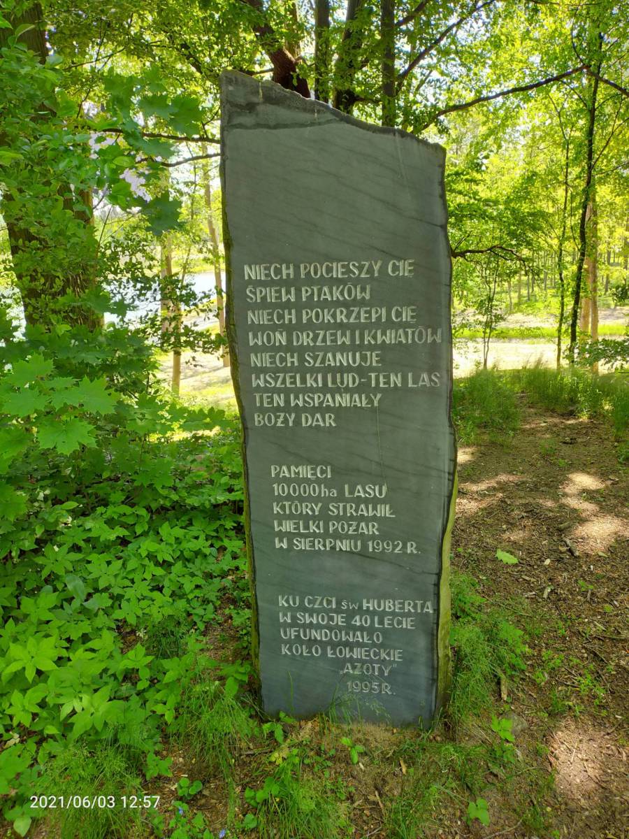 Zdjęcie 2