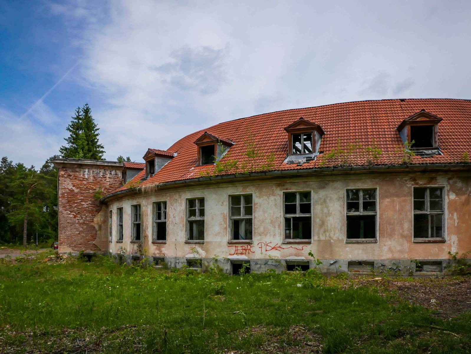 Zdjęcie 4