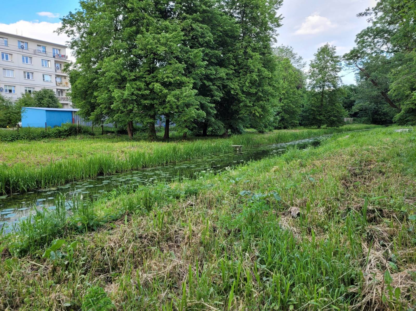 Zdjęcie 5