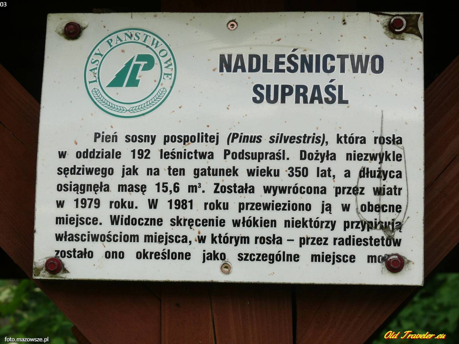 Zdjęcie 3