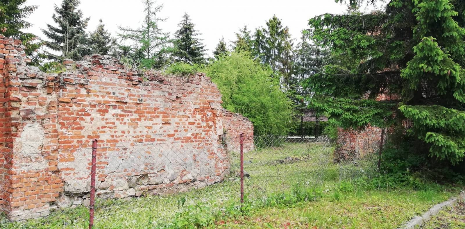 Zdjęcie 3