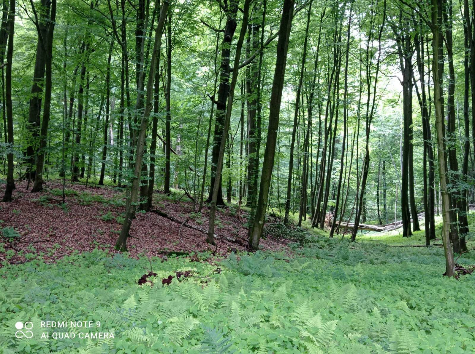Zdjęcie 2