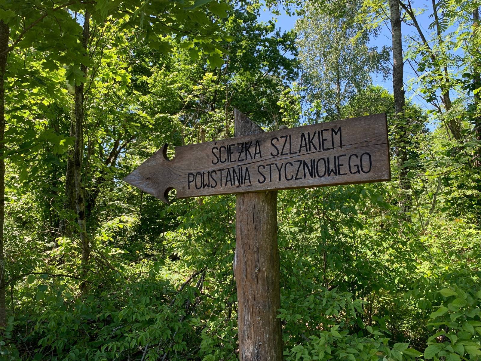 Zdjęcie 2
