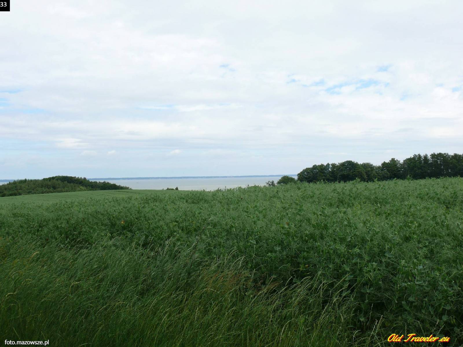 Zdjęcie 6