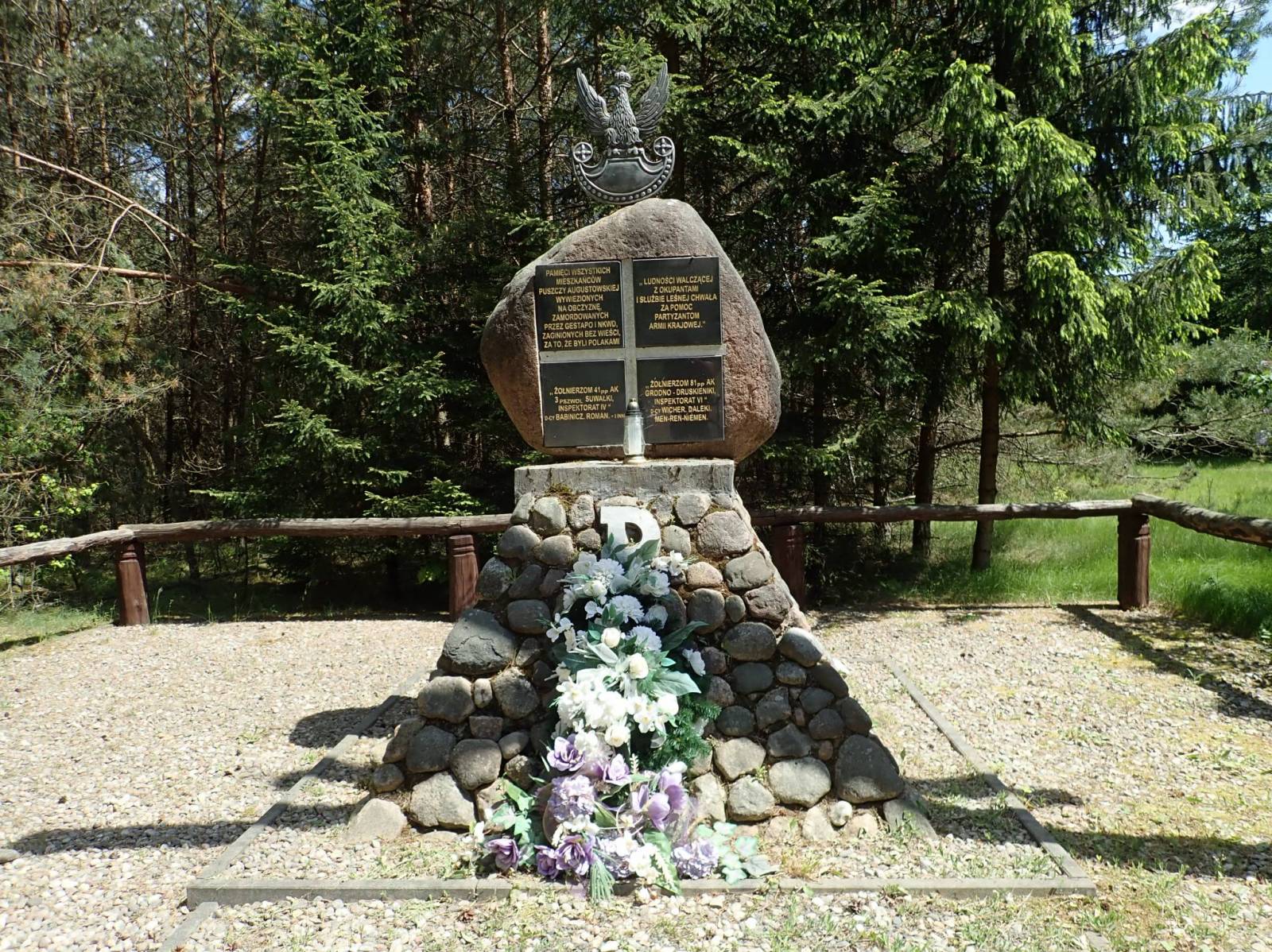 Zdjęcie 3