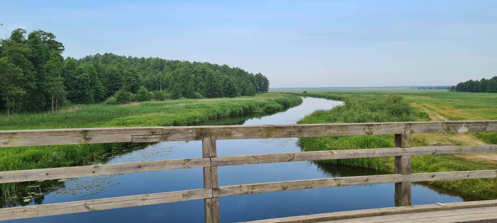 Zdjęcie 6