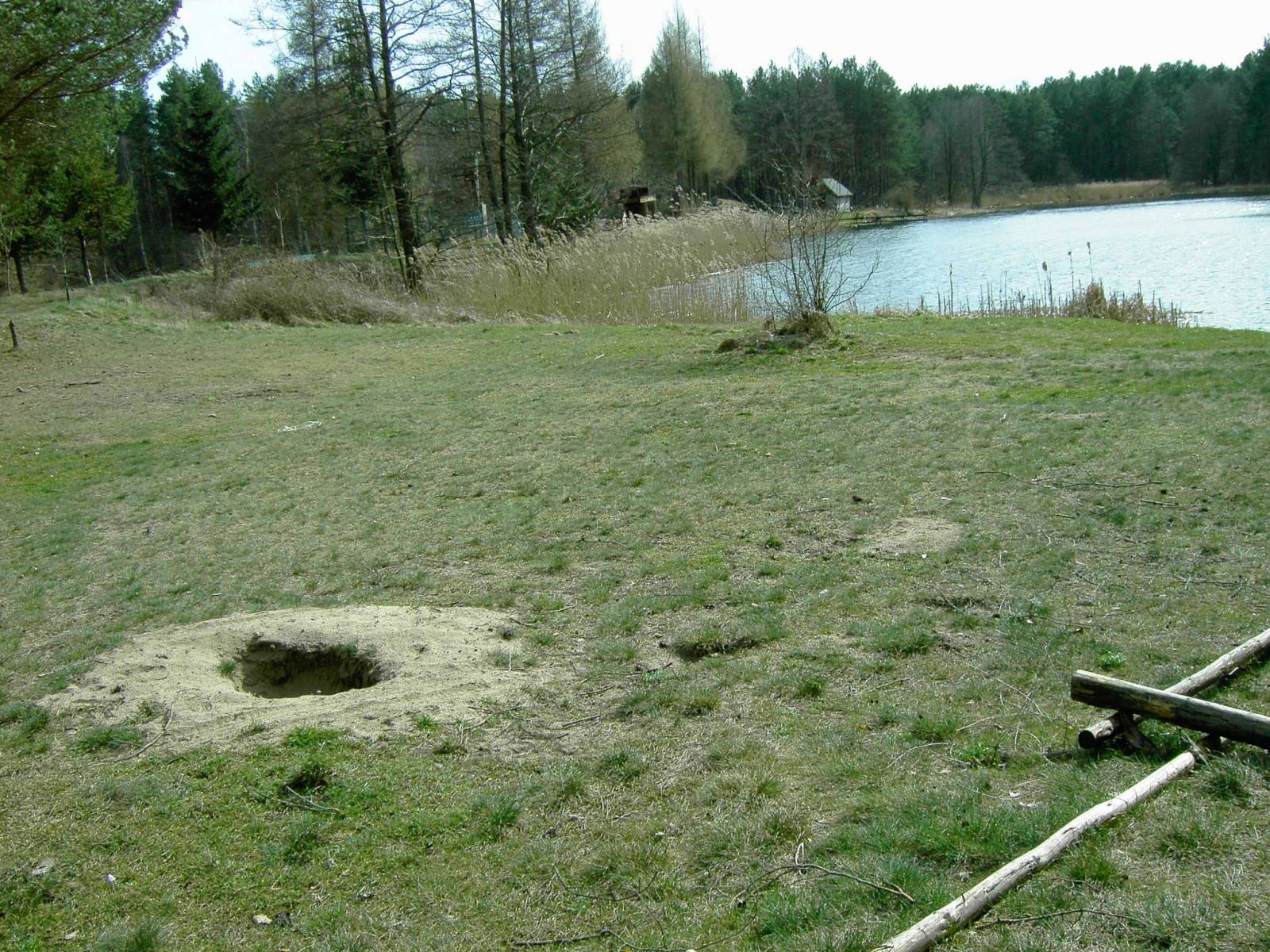 Zdjęcie 3