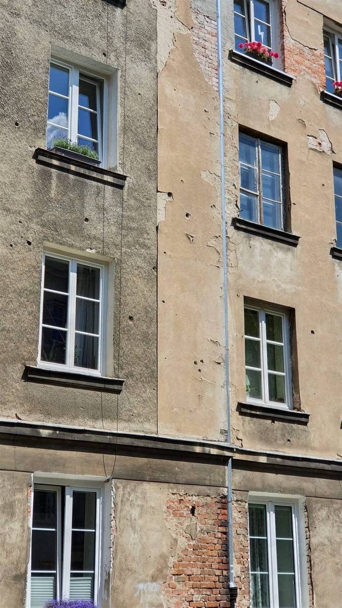 Zdjęcie 6