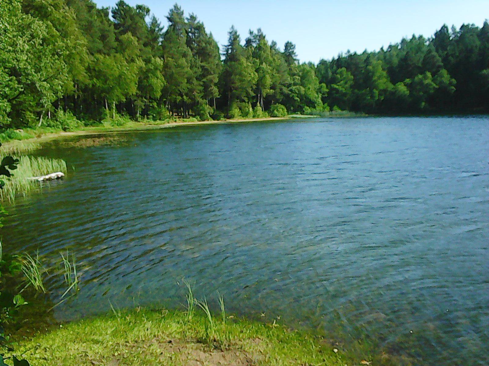 Zdjęcie 6