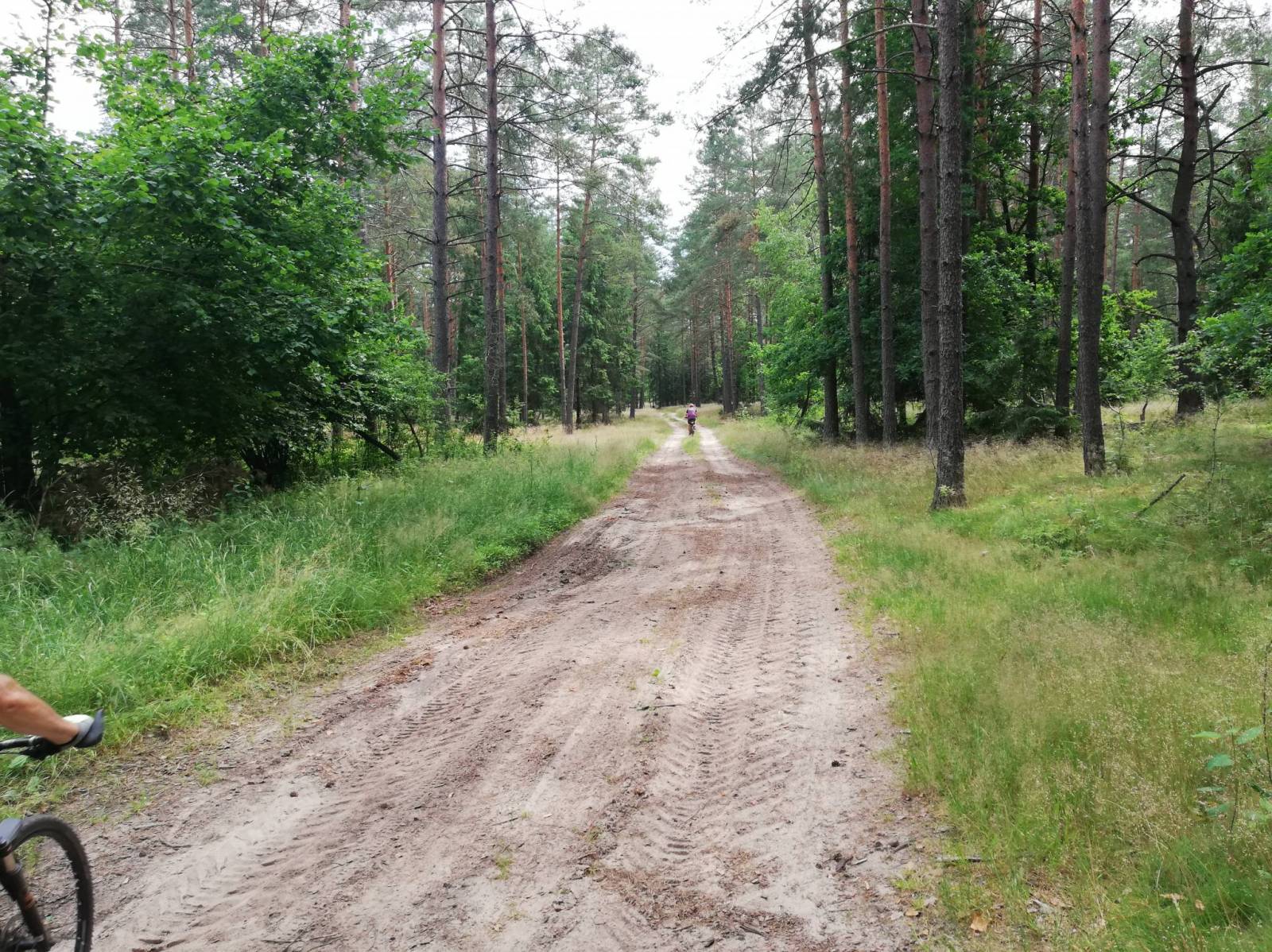 Zdjęcie 2