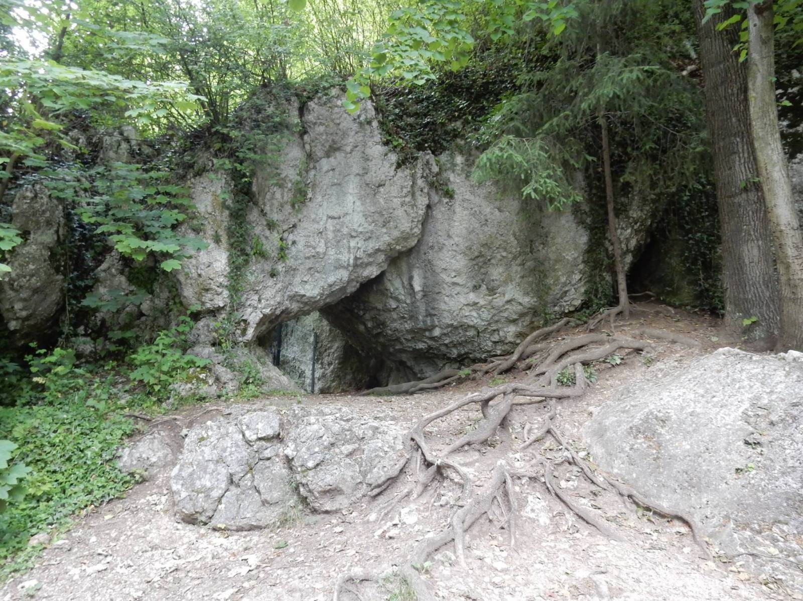 Zdjęcie 6