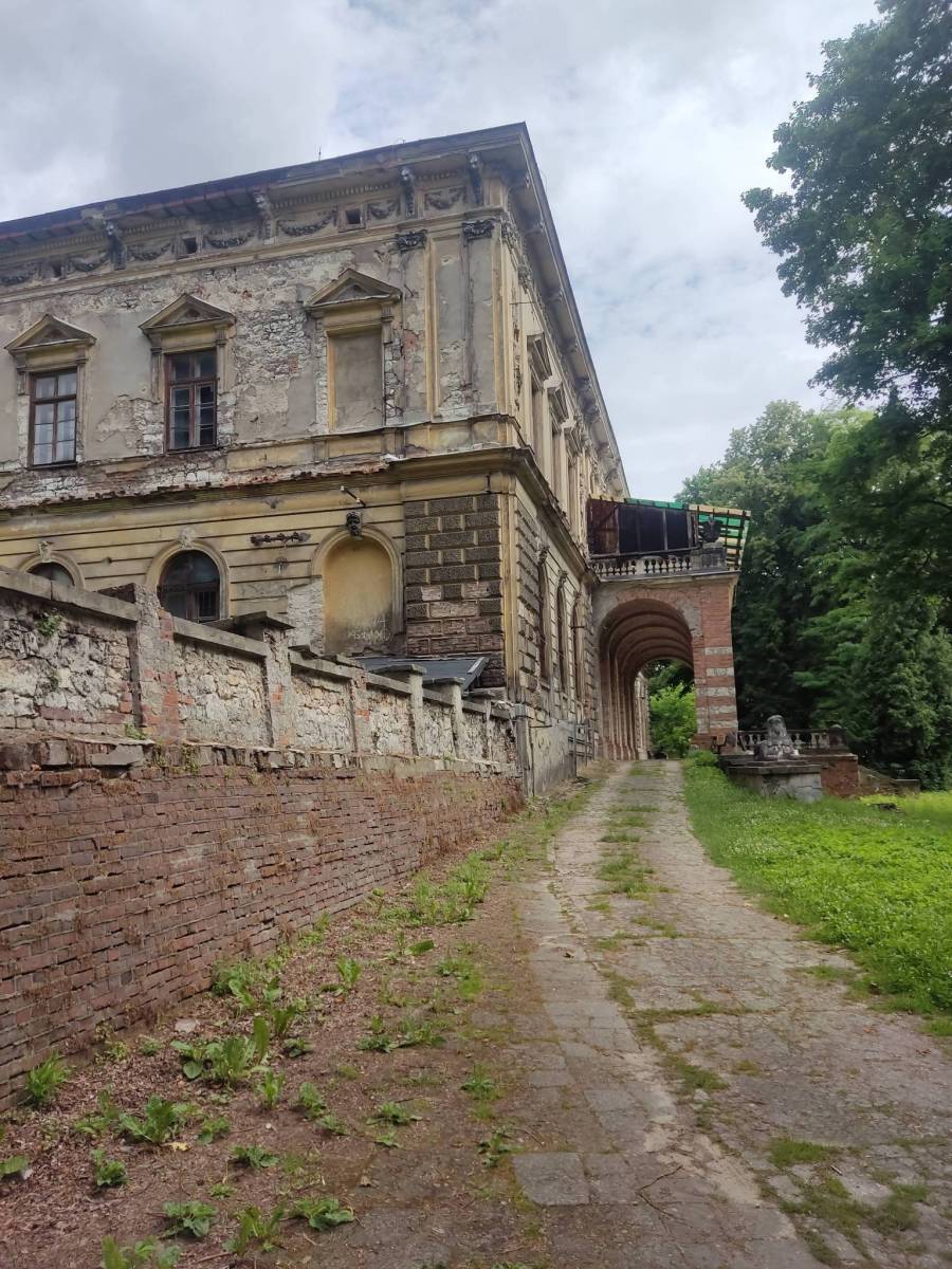 Zdjęcie 5