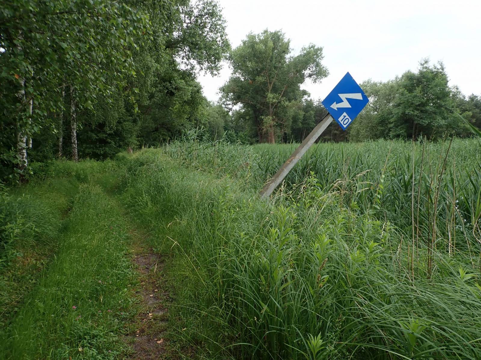 Zdjęcie 4