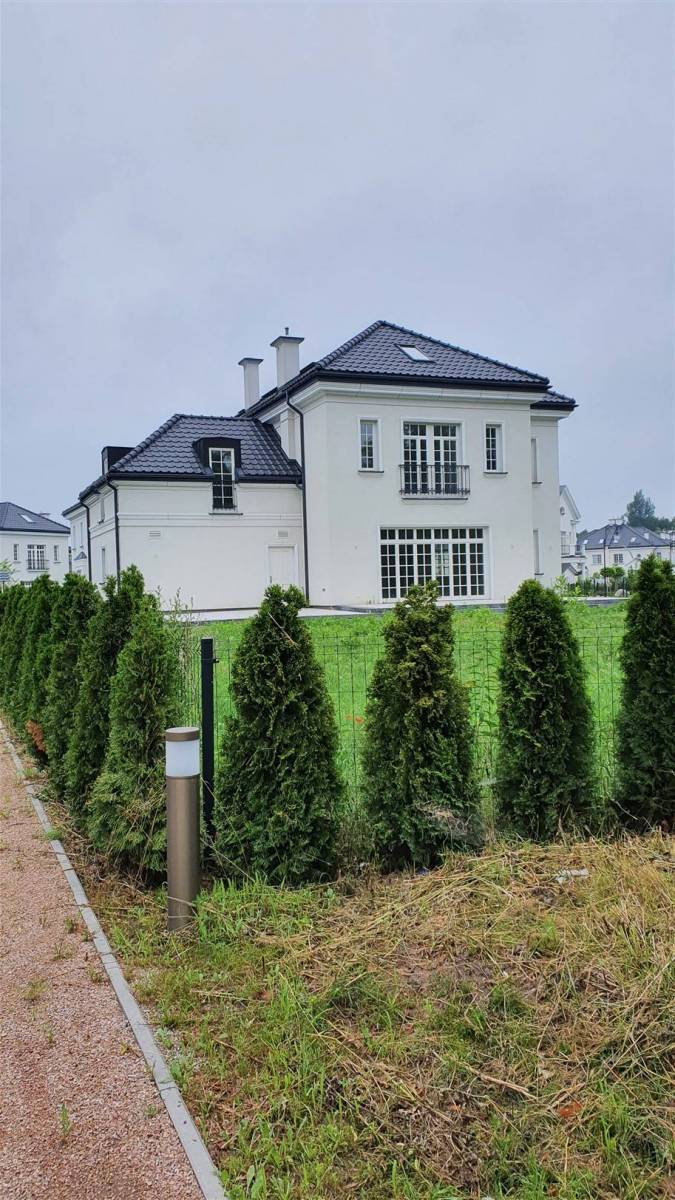 Zdjęcie 6