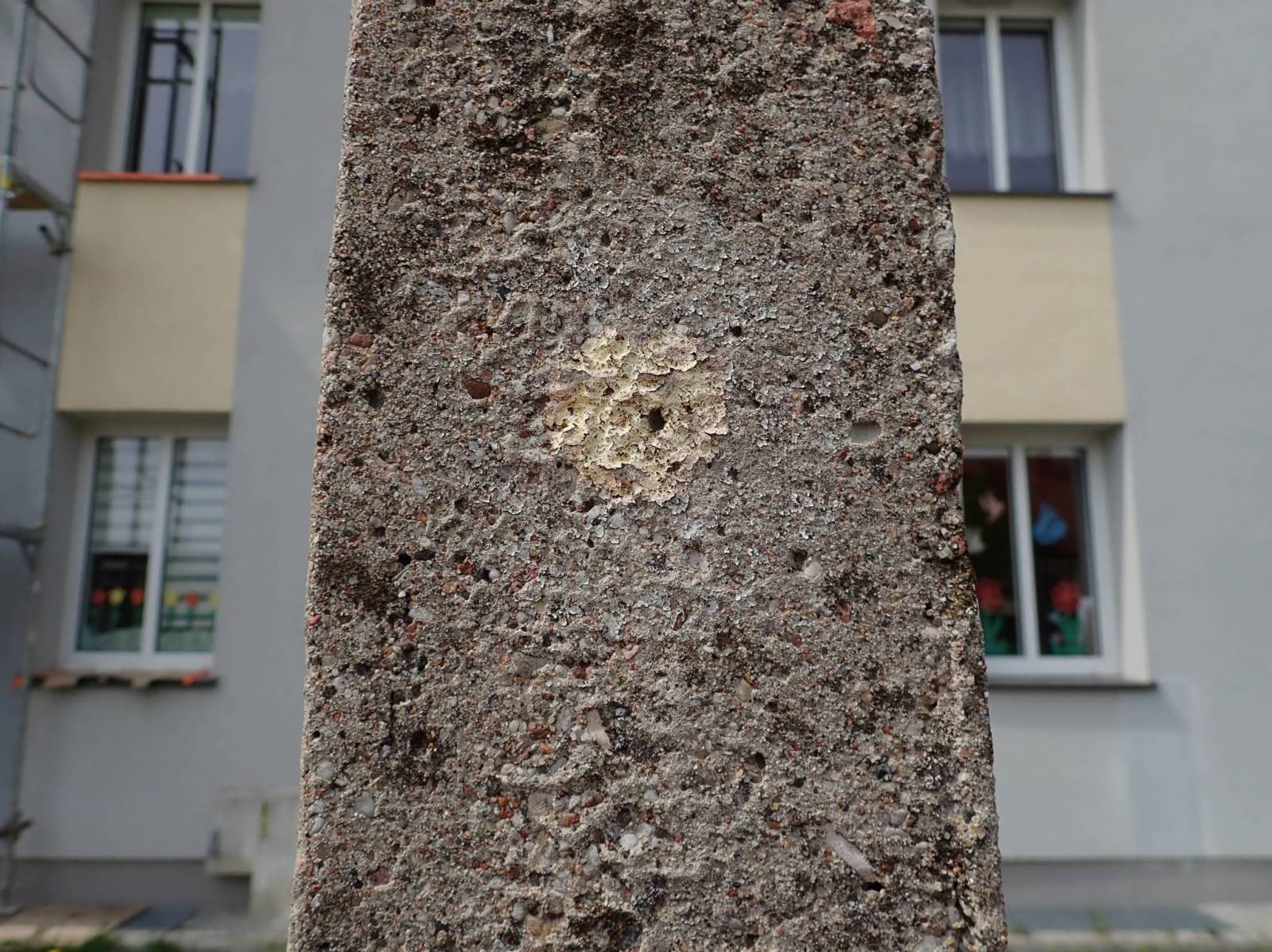 Zdjęcie 6