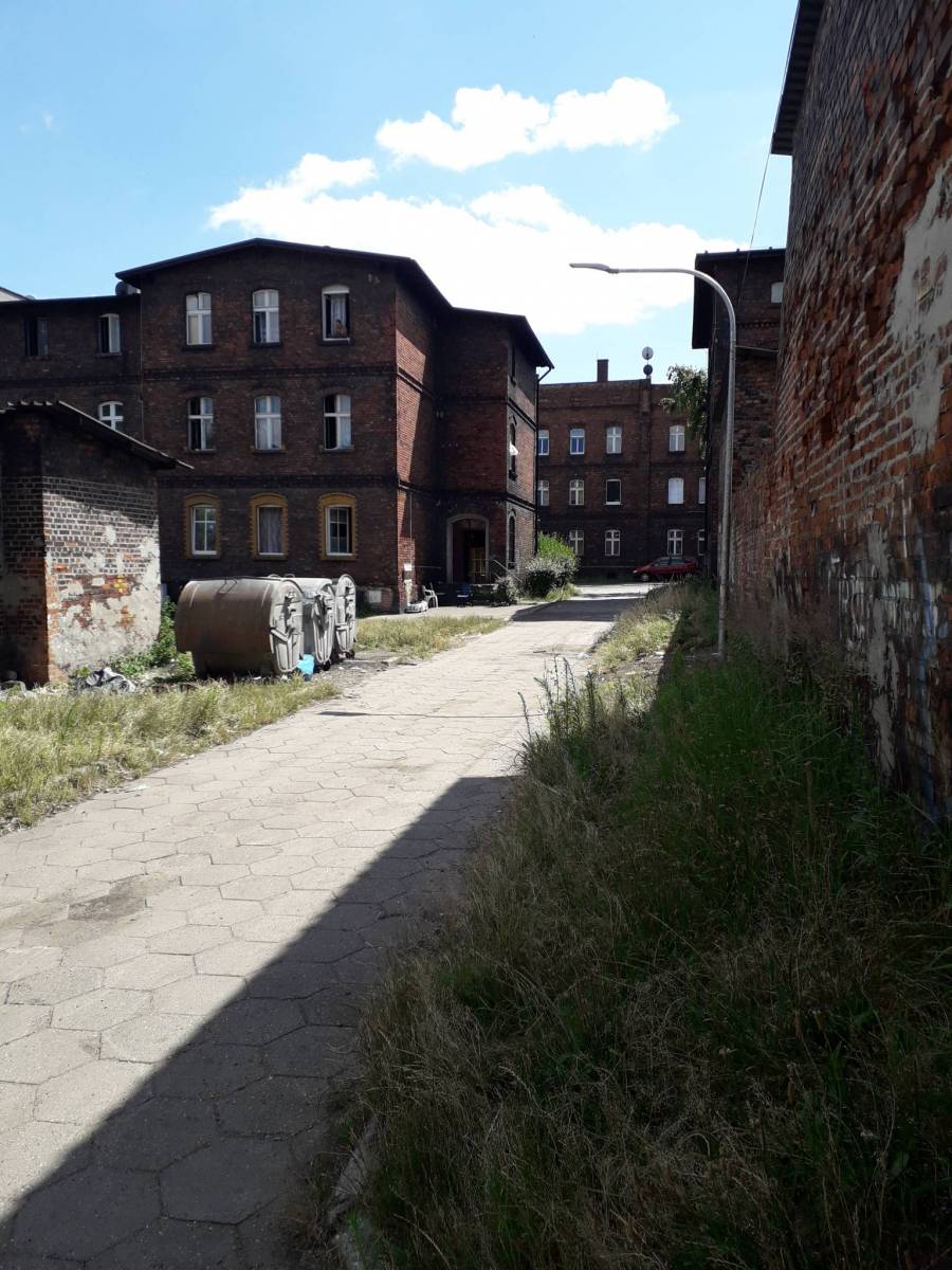 Zdjęcie 5
