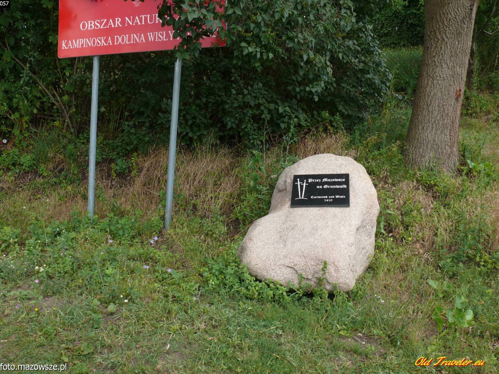 Zdjęcie 5