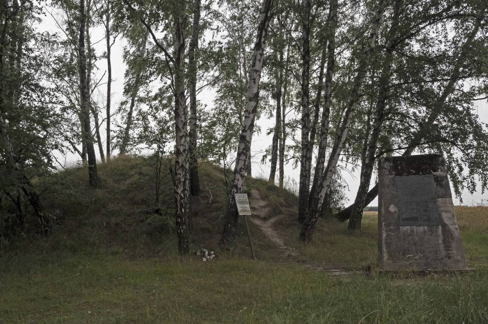 Zdjęcie 5