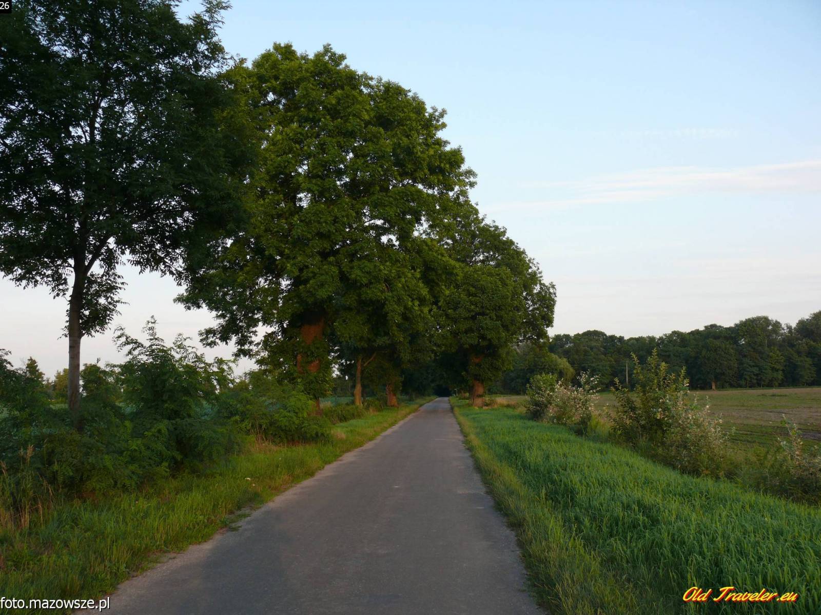 Zdjęcie 3