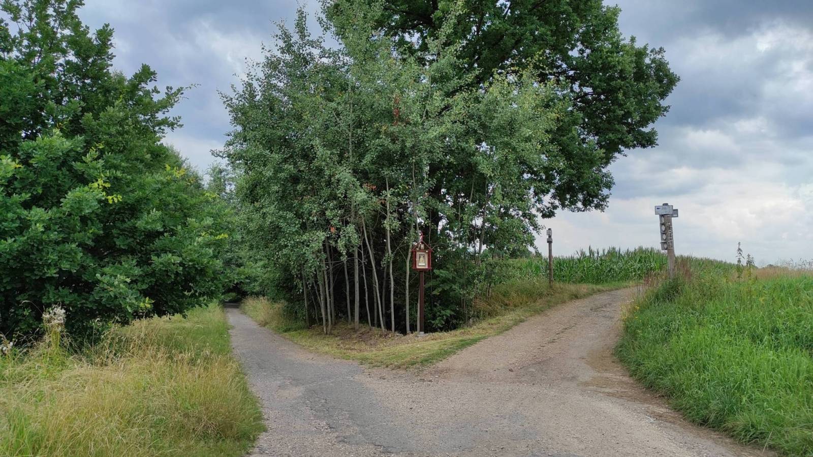 Zdjęcie 3