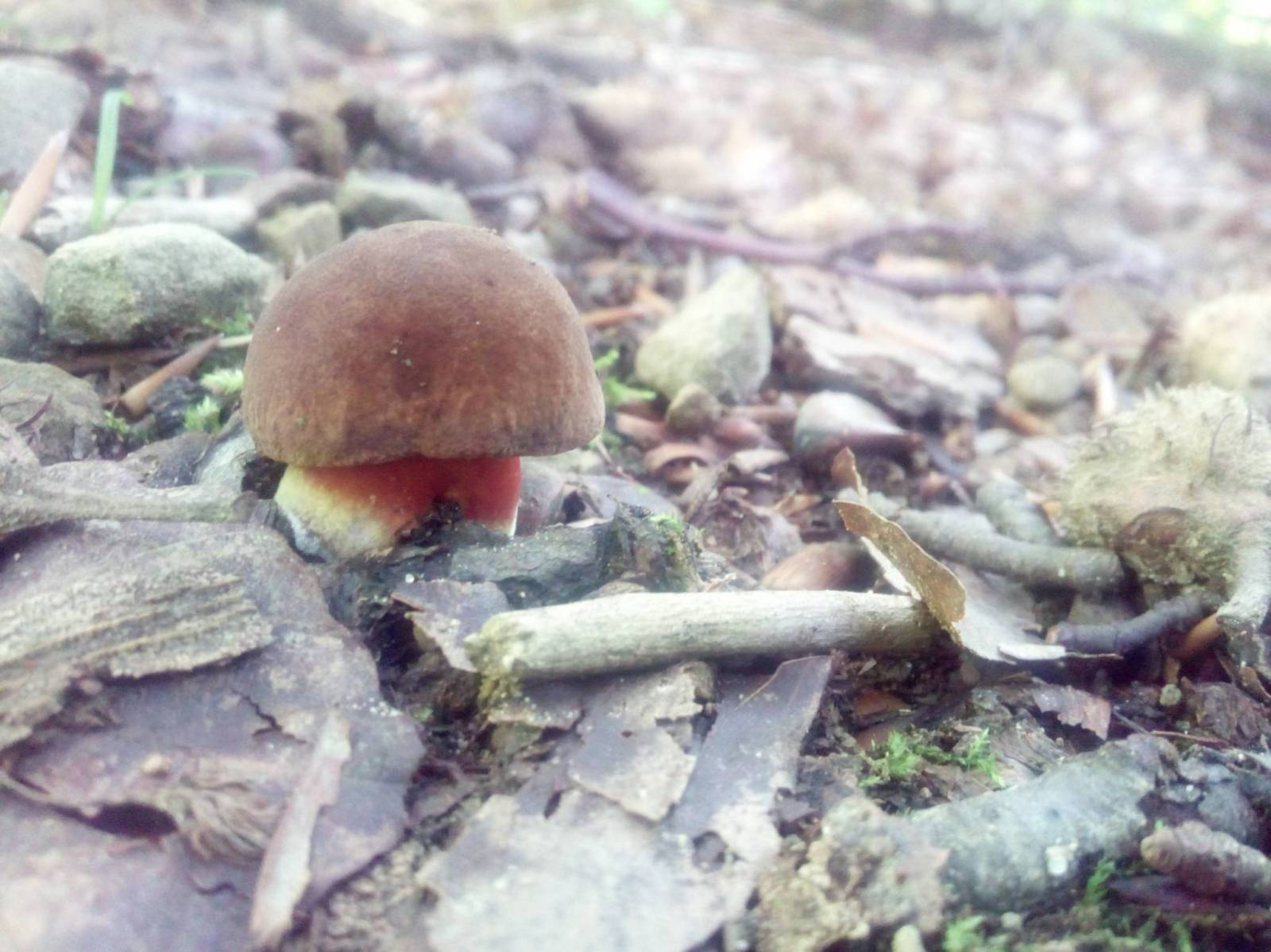 Zdjęcie 5