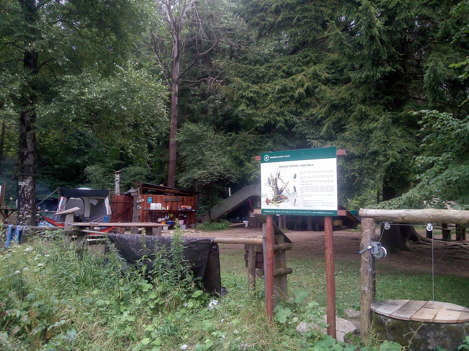 Zdjęcie 6
