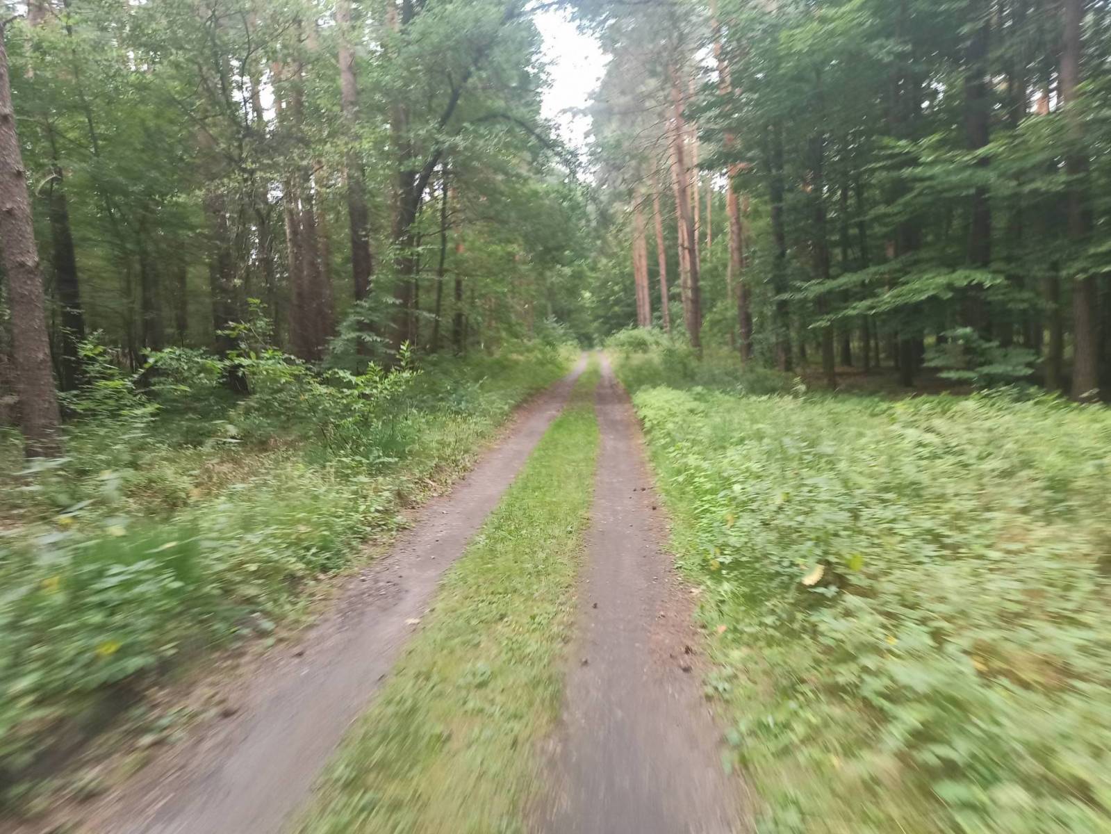 Zdjęcie 5