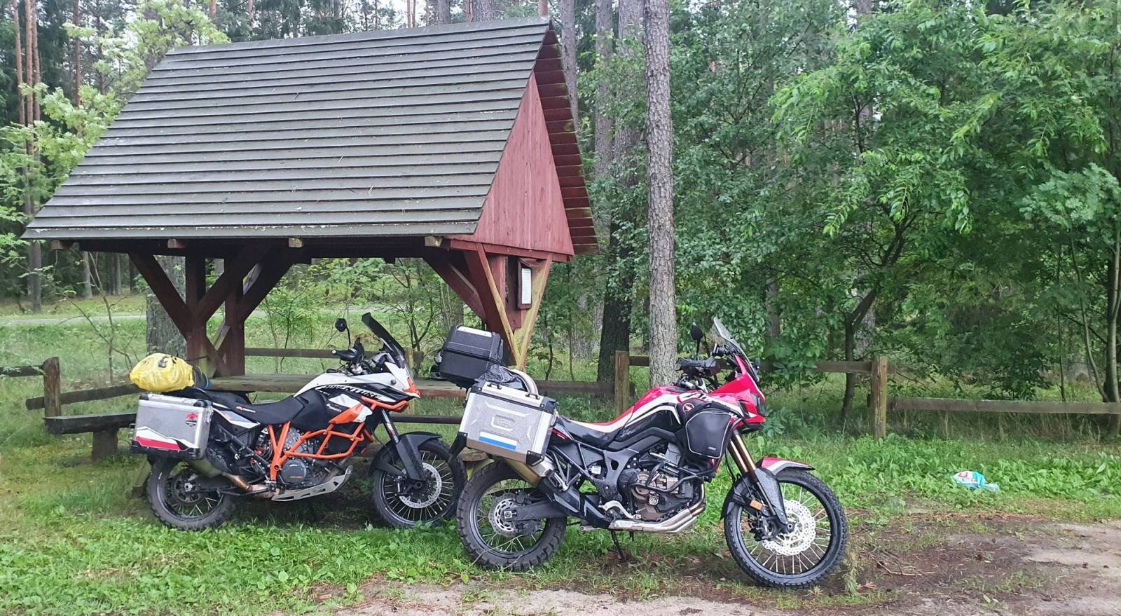 Zdjęcie 6