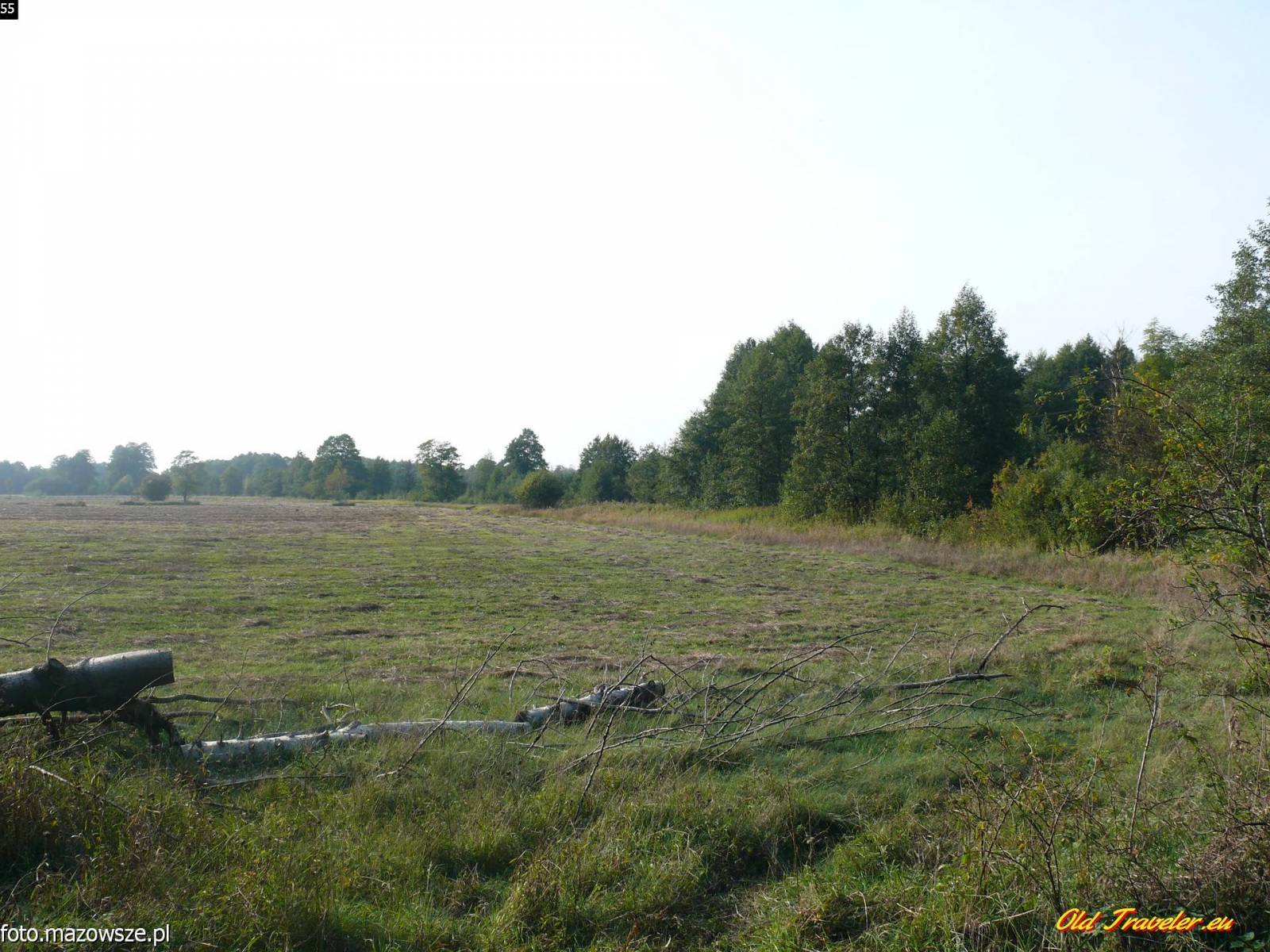 Zdjęcie 2