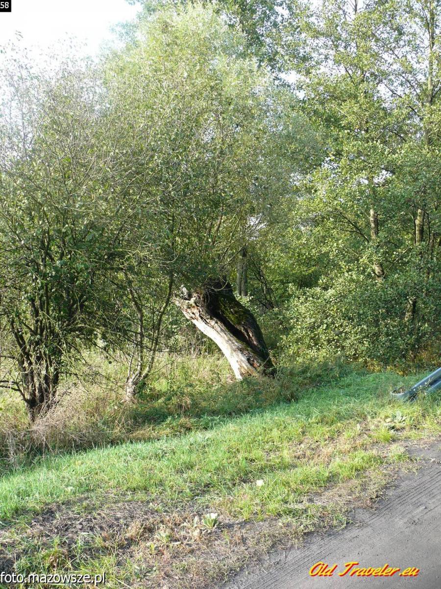 Zdjęcie 4