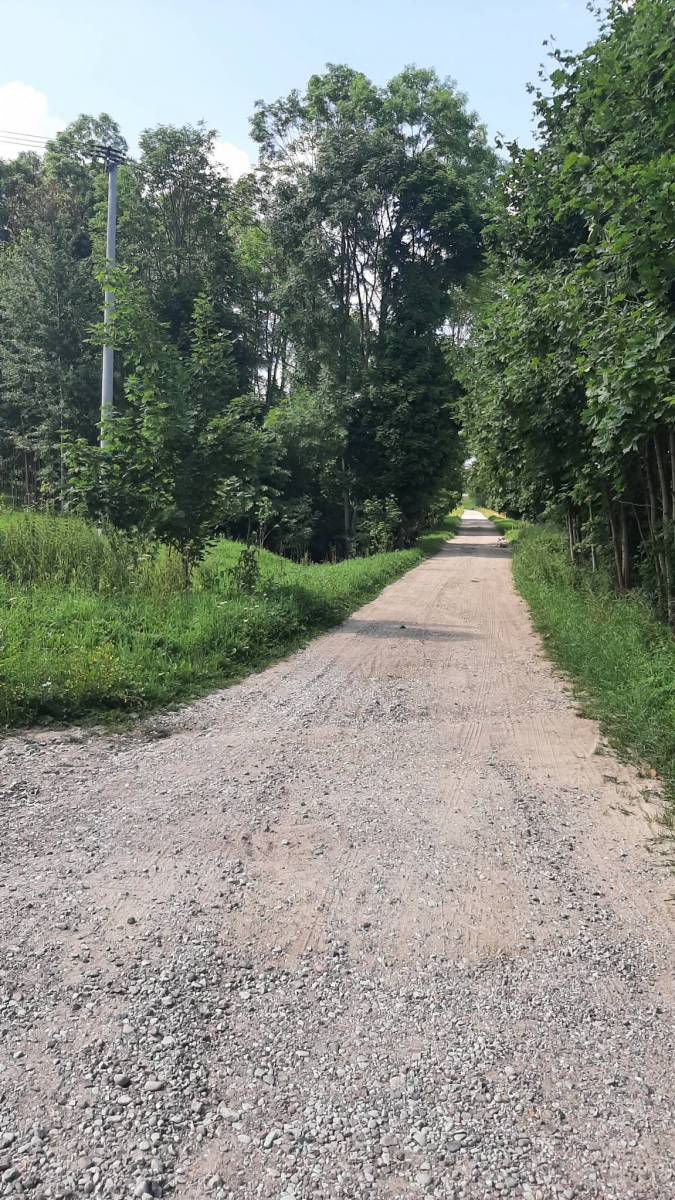 Zdjęcie 5
